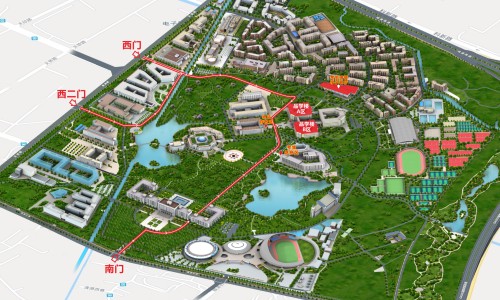 苦地丁草图片网 | 苦地丁草的真实图片,苦丁草图片